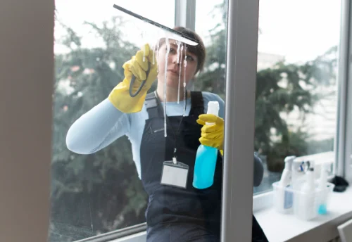 Nettoyage de vitres intérieures et extérieures à Chambois